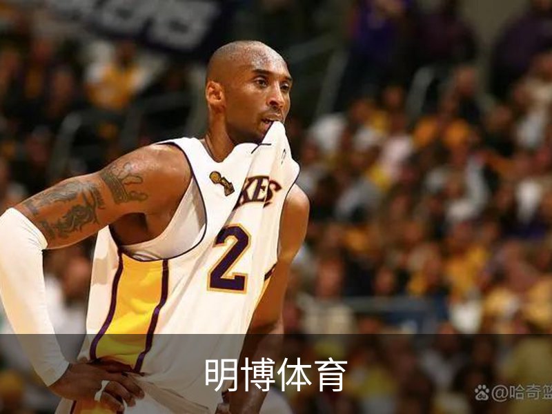 关于明博体育